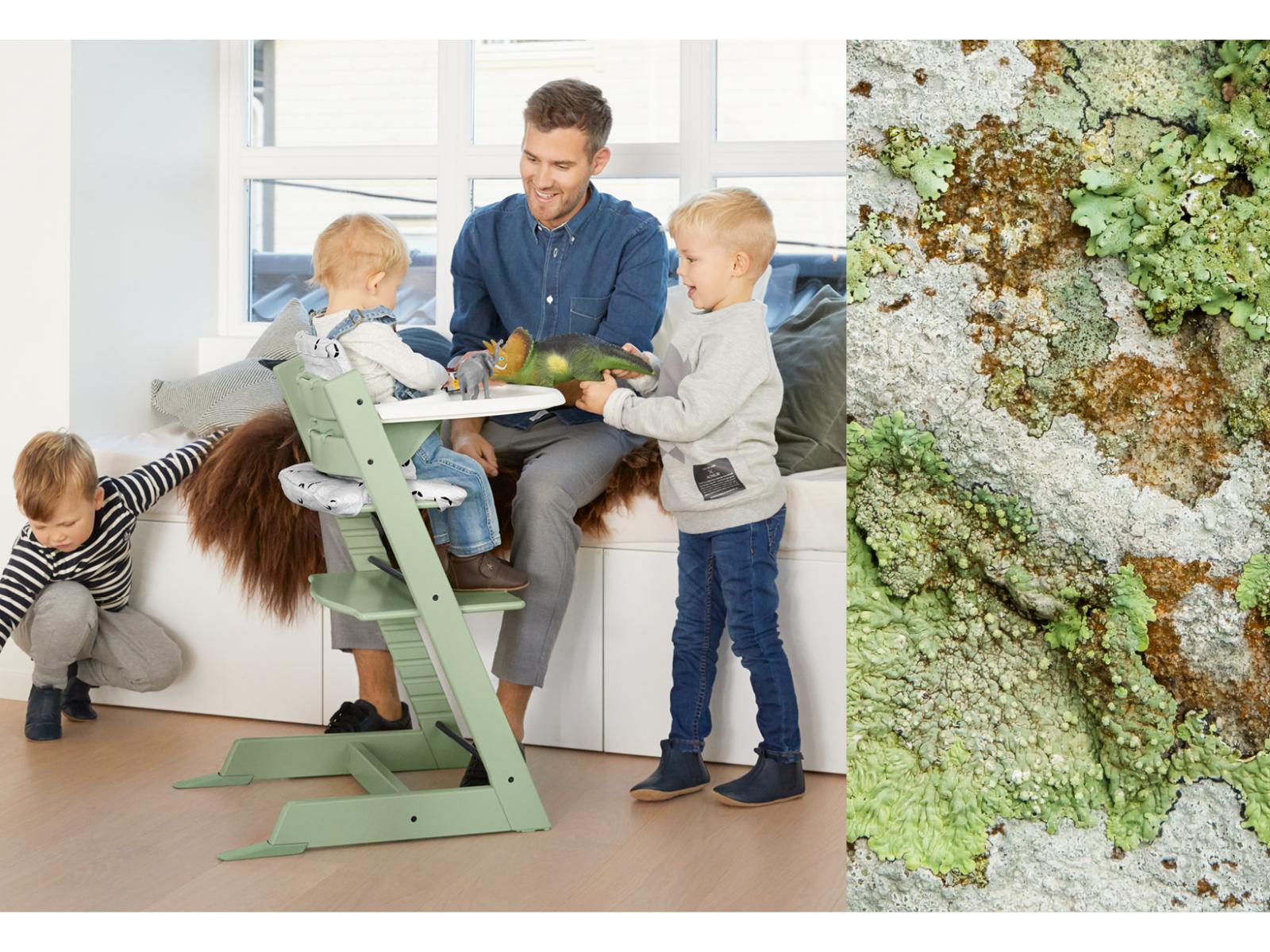 растущий стул stokke tripp trapp